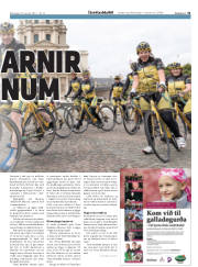 Síða 31