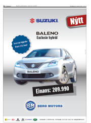 Síða 32