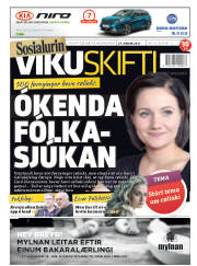 Síða 1