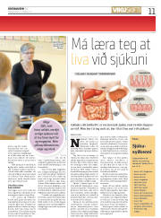 Síða 11