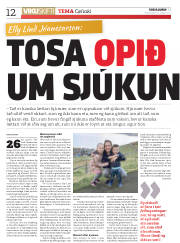 Síða 12