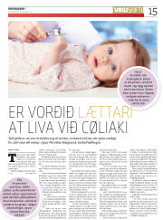 Síða 15
