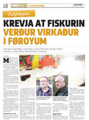 Síða 18