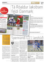 Síða 27