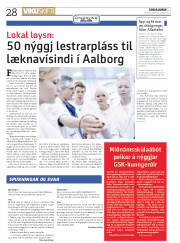 Síða 28