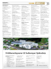 Síða 31