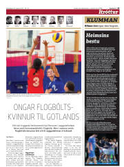 Síða 23