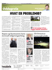Síða 2