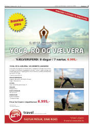 Síða 9