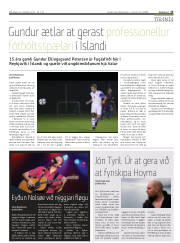 Síða 15