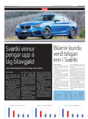 Síða 17