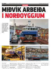Síða 18
