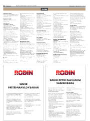 Síða 22