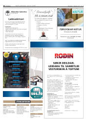 Síða 24