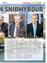 Síða 17