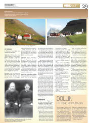 Síða 29
