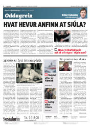 Síða 2