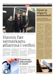 Síða 5