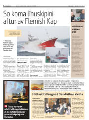 Síða 6