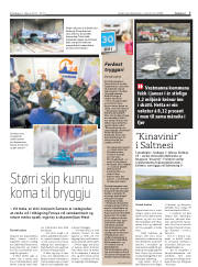 Síða 7