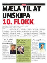 Síða 11