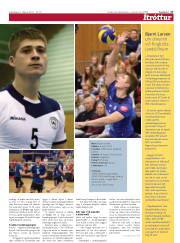 Síða 17