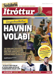 Síða 24