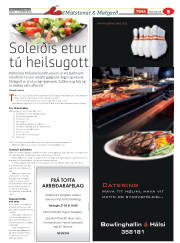Síða 33