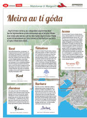 Síða 36