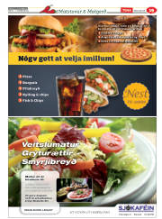 Síða 43