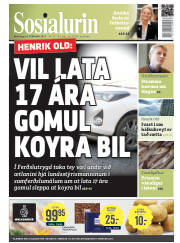Síða 1