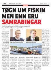 Síða 6