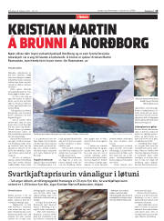 Síða 15