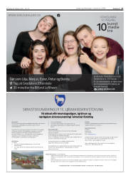 Síða 17