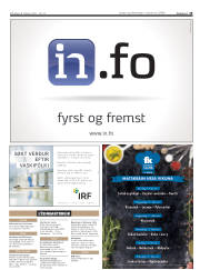 Síða 19