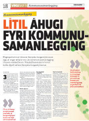 Síða 18