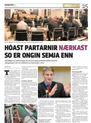 Síða 25