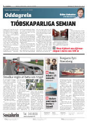 Síða 2