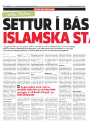 Síða 8