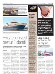 Síða 11