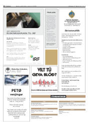 Síða 12