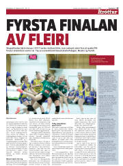 Síða 15