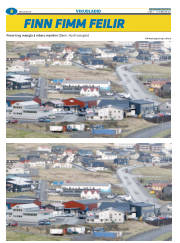 Síða 32