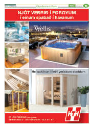 Síða 35