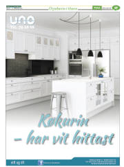 Síða 41