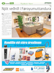 Síða 42