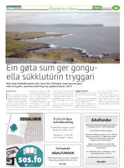 Síða 45