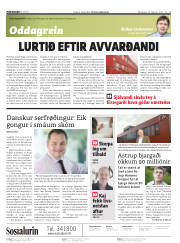 Síða 2