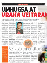 Síða 8