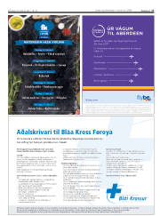 Síða 17